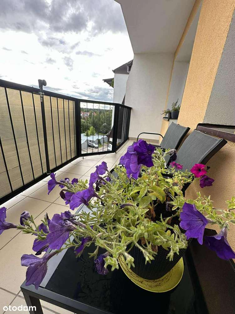 Gotowe do wprowadzenia, 3 pokojowe - Baranki-10