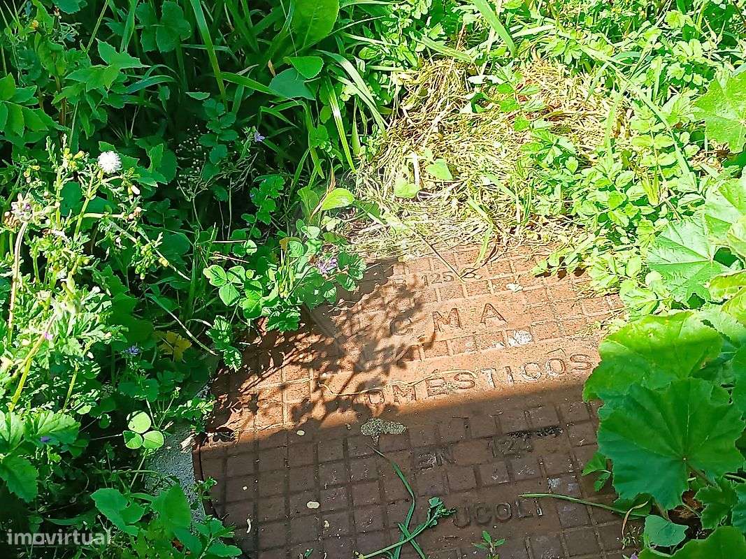 Terreno  para venda-5