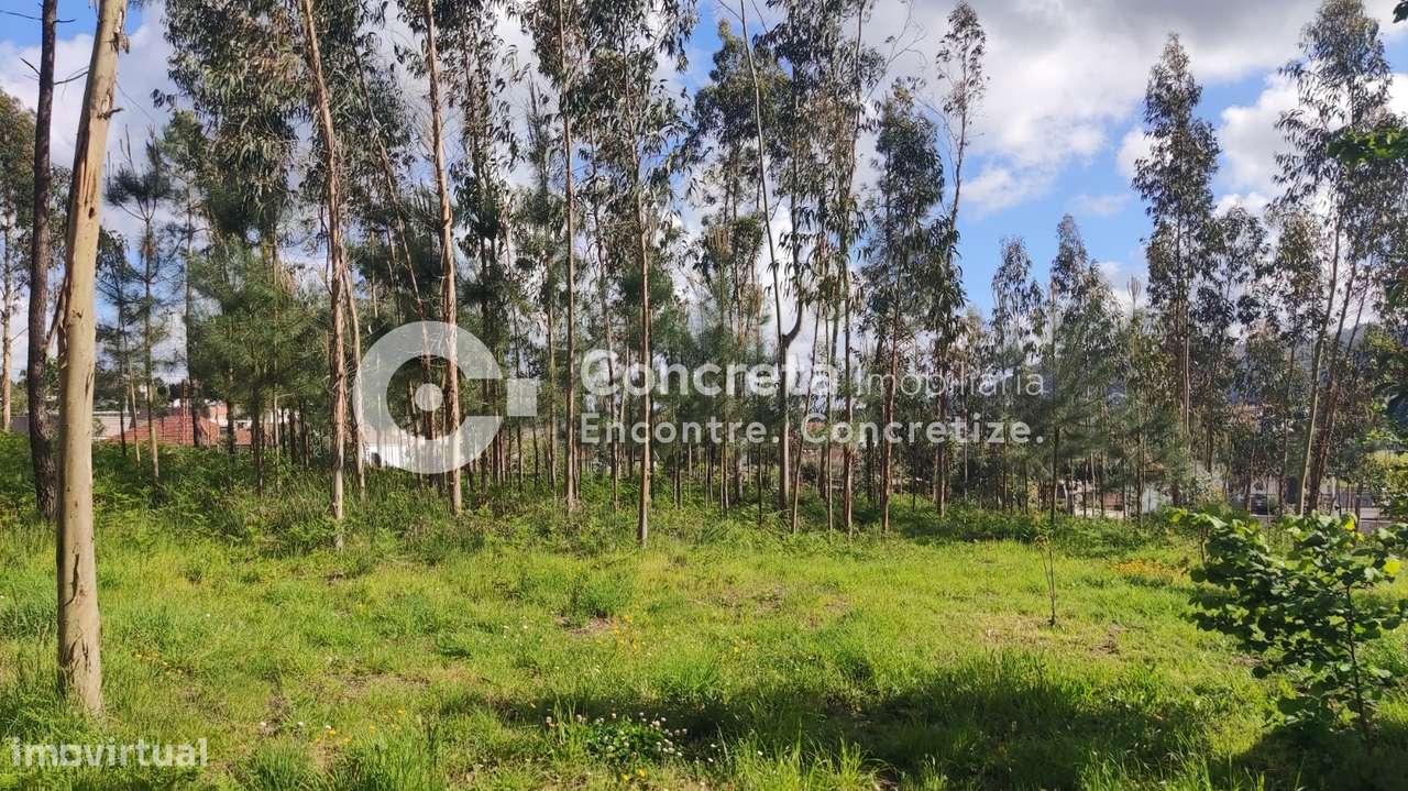 Terreno para Construção em Várzea, Barcelos - Grande imagem: 5/8