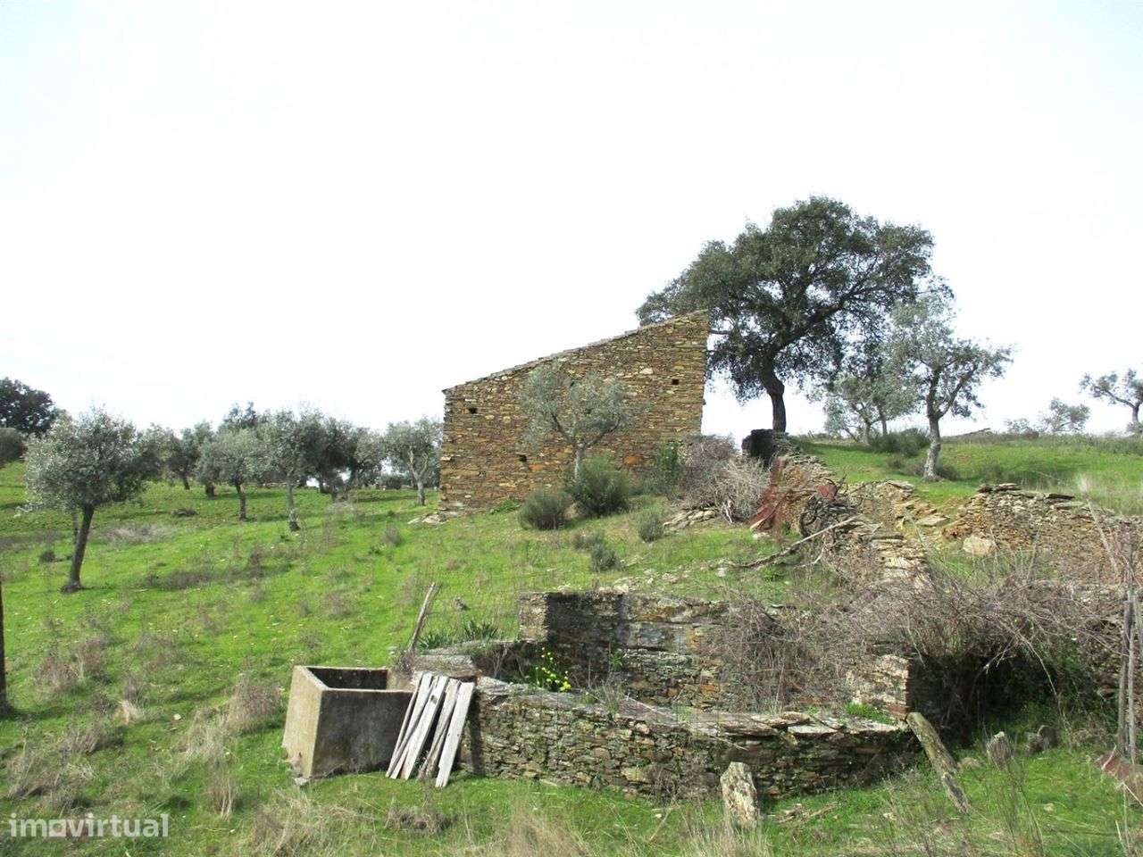 Quinta - Grande imagem: 3/6