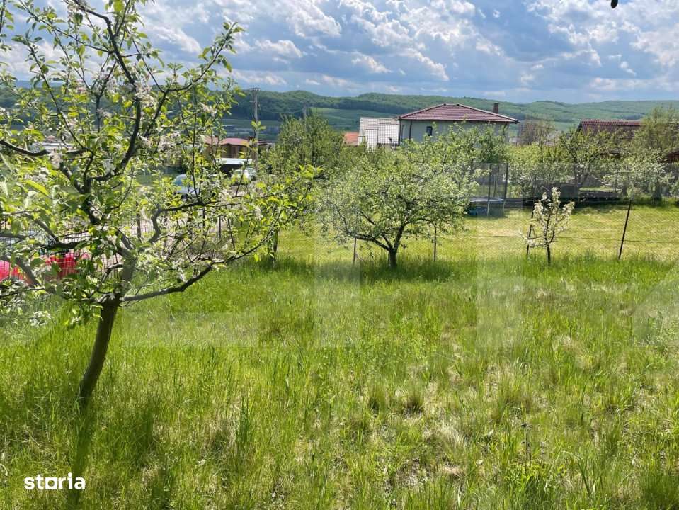 Oferta! Teren intravilan, 494 mp, zona Lombului - Imagine principală: 5/7