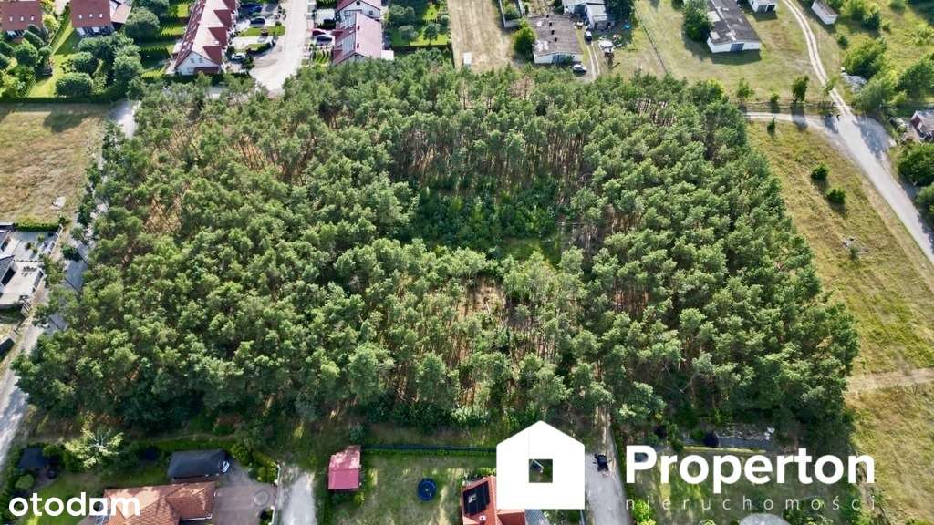 Działka inwestycyjna w lesie, blisko jeziora - Pełny obrazek: 4/13