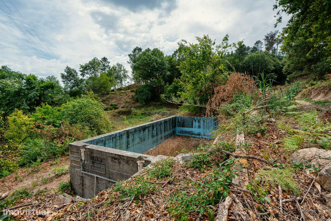 Quinta com 5,5 ha e Projecto Aprovado p/Hotel Rural 4 Estrelas - Viseu-6