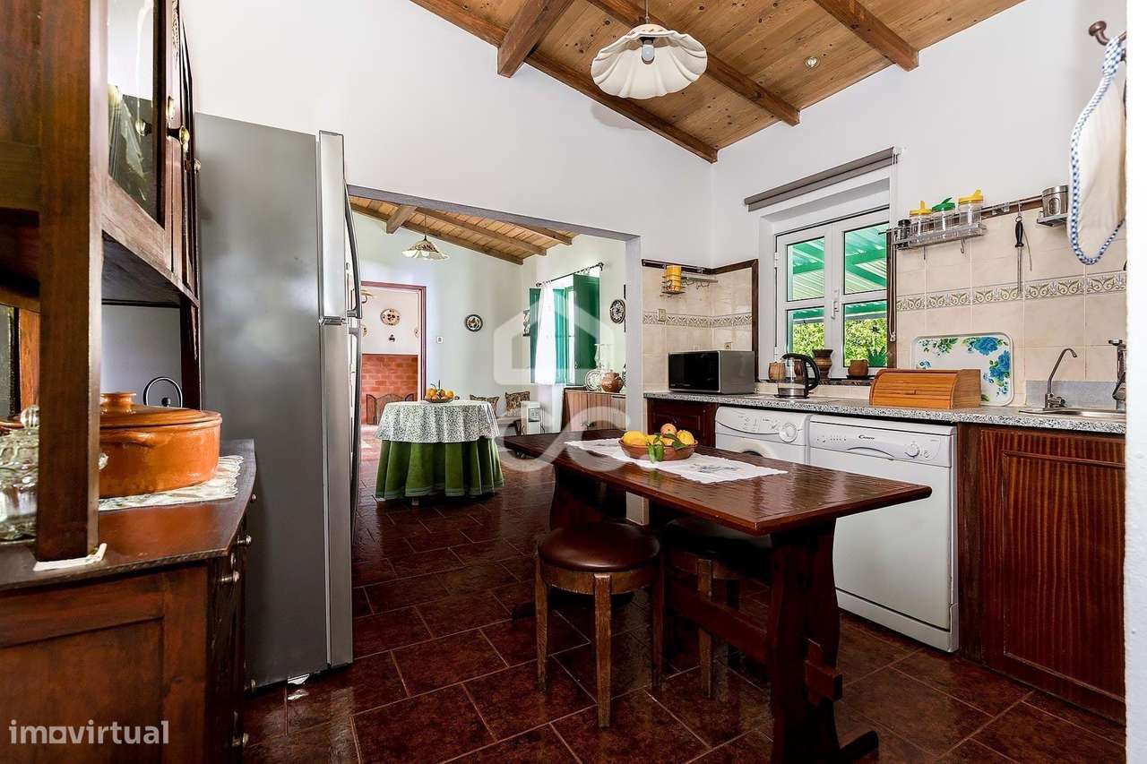 Quinta de 9250m2 c/ Moradia T4 térrea, anexo e armazém | Azaruja-12