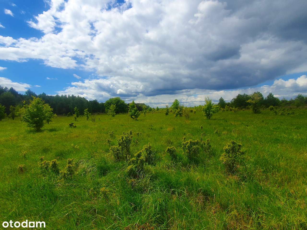 Działki budowlane pod lasem 1000m2-1
