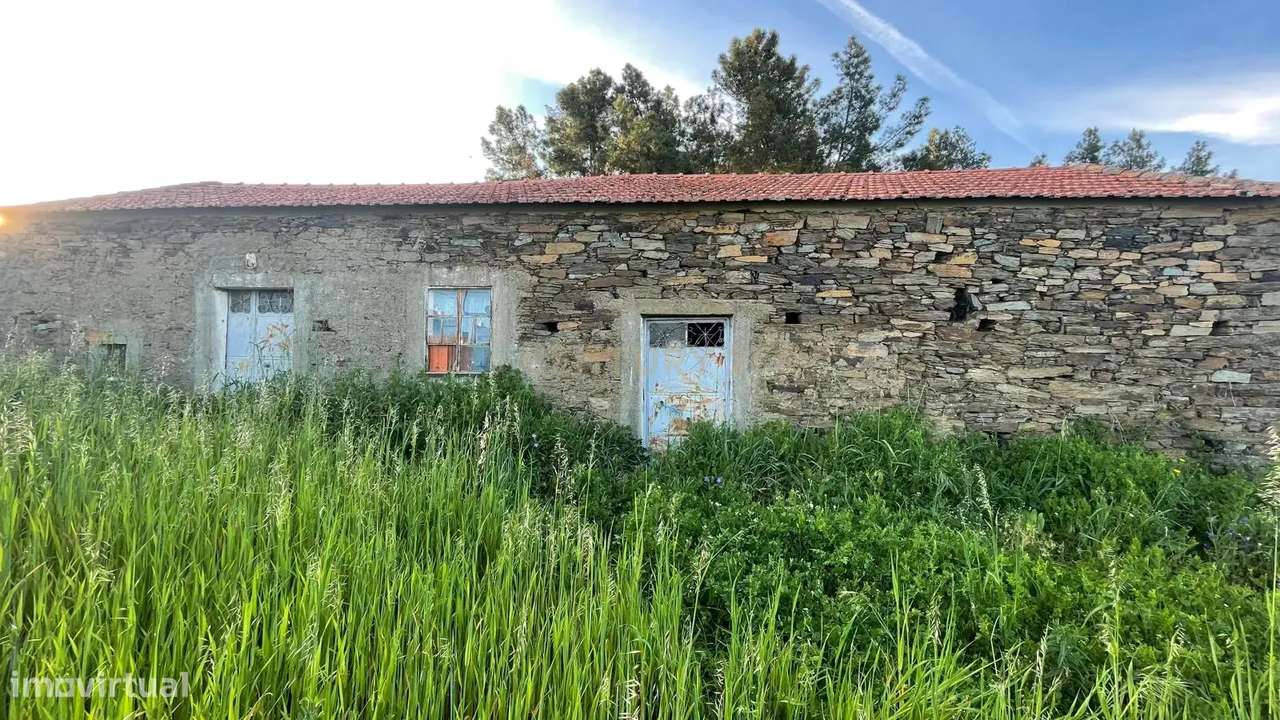 Terreno com 2Ha nos Enxames, Concelho do Fundão - Grande imagem: 2/13