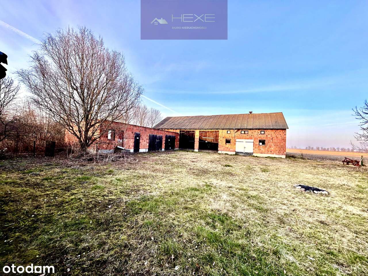 Siedlisko na sprzedaż - Pełny obrazek: 4/7