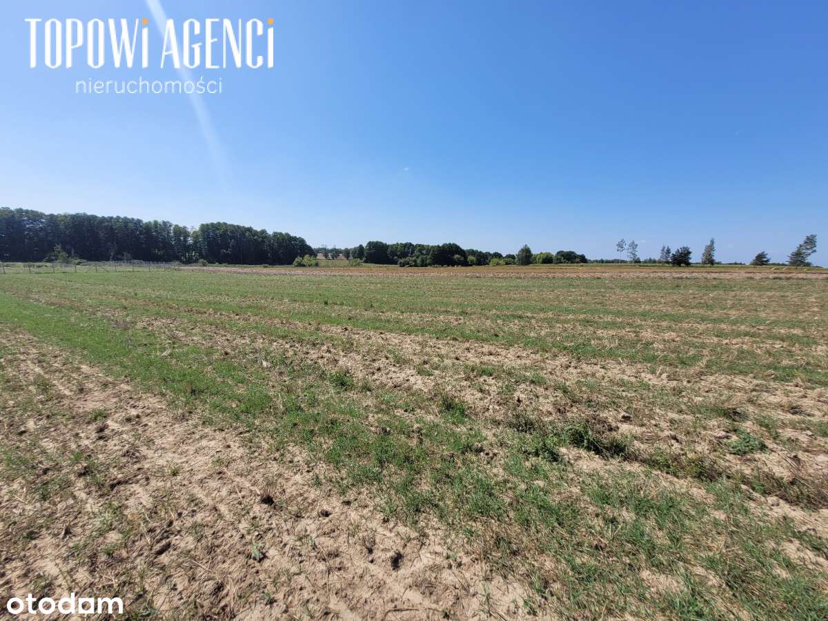 Działka nad rzeką,Park Kampinoski warunki zabudowy-12