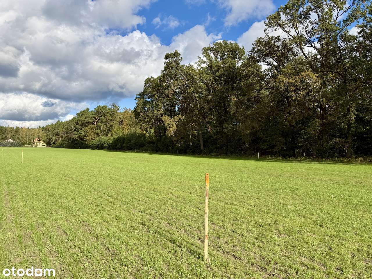 Działki przy jeziorze Lucieńskim i lesie państwowym-13