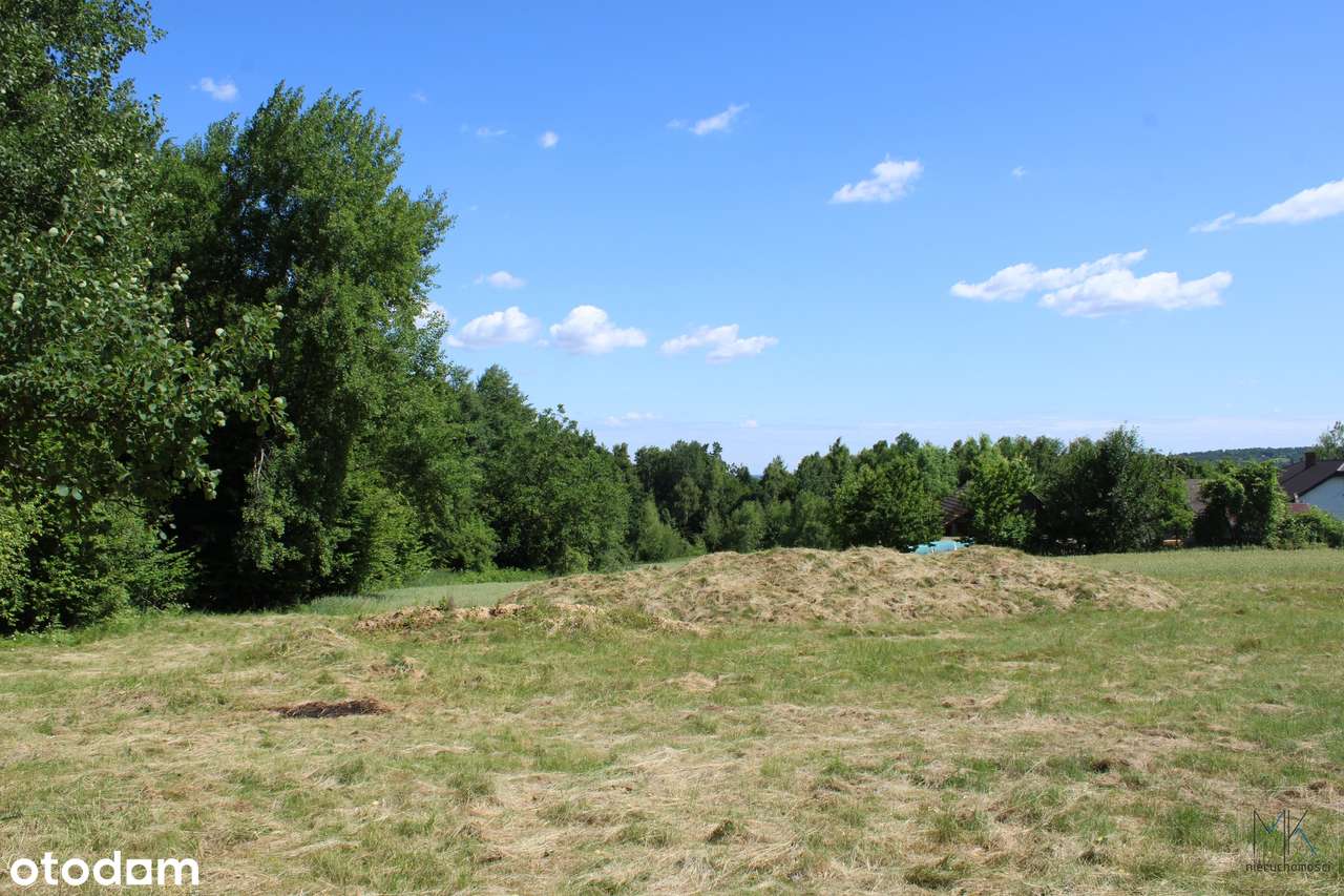 Wyjątkowa działka o powierzchni 3026m² położona w miejscowości Gruszów - Pełny obrazek: 4/11