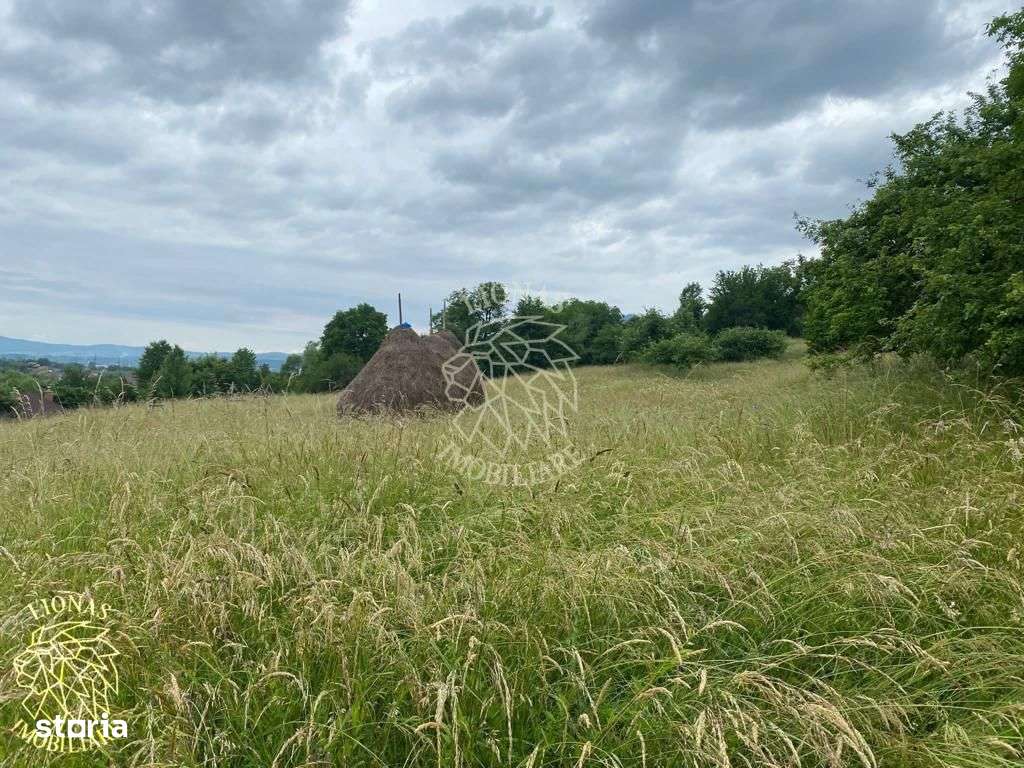 Teren Intravilan 3093 mp-ideal case/cabane/pensiune-Bistrita Bargaului - Imagine principală: 5/6