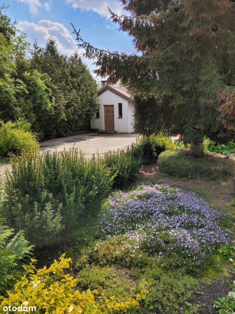 Działka / dwa budynki mieszkalne Pomorska Mileszki