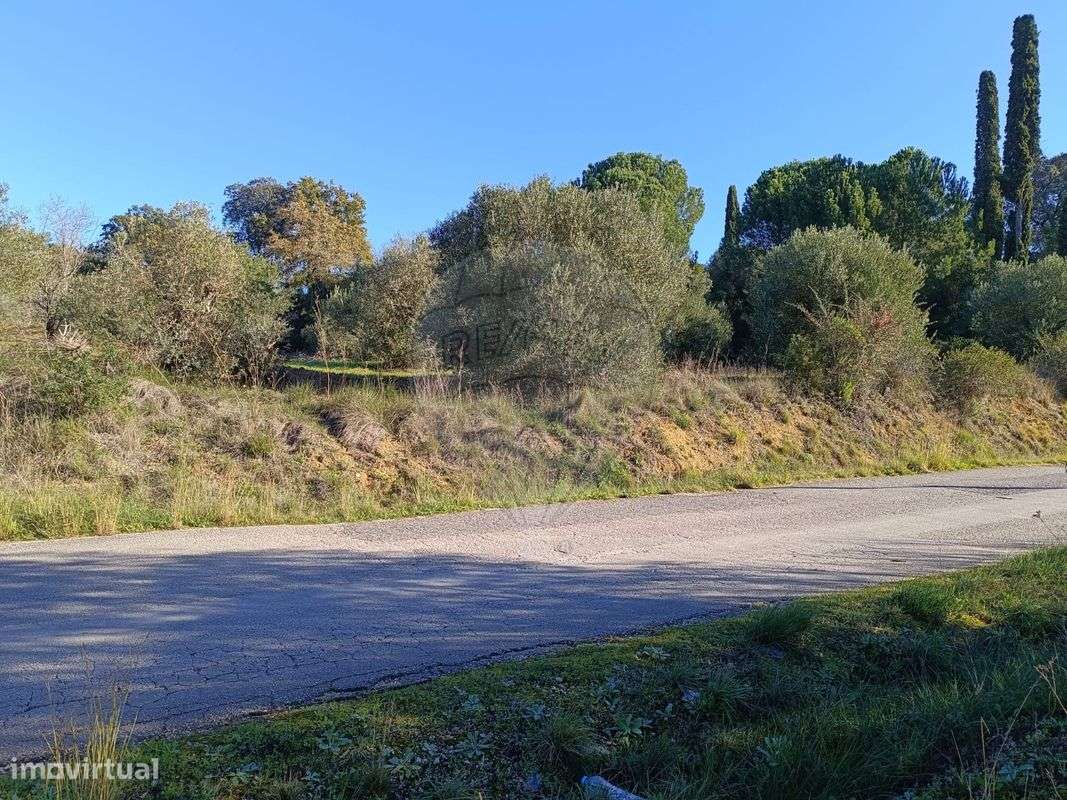 Terreno  para venda - Grande imagem: 2/5