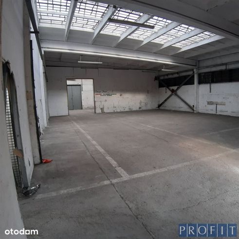Hala 2660m2 poziom 0 ,h-4,8m-2
