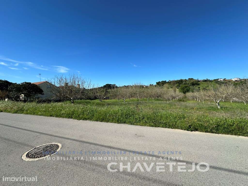 Terreno com 5.840 m2 a 5 km de Tomar. - Grande imagem: 4/10