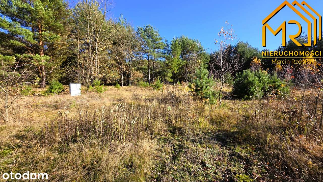 Działka z pełną dokumentacją budowlaną w gminie Czarna-13