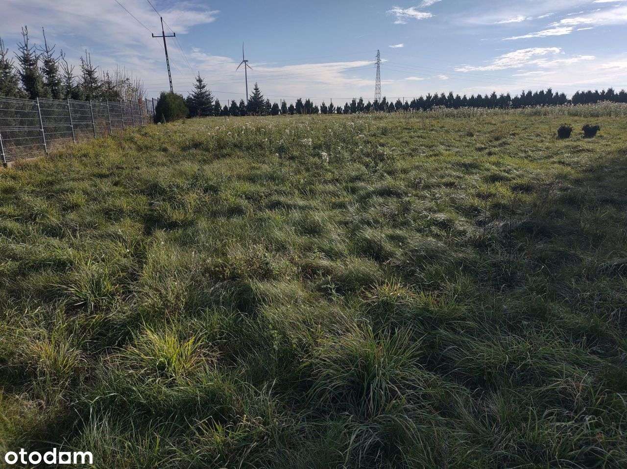 Działka, 4 368 m², Pruśce - Pełny obrazek: 5/8