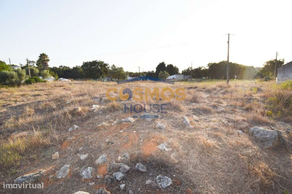 Moradia T2 c/ 6546 m2 terreno - Serra Candeeiros-10