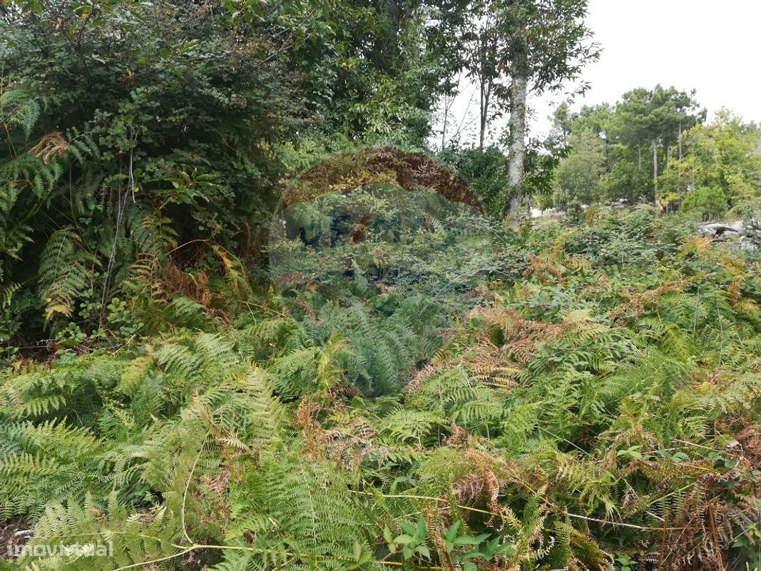 Terreno para Venda - Grande imagem: 1/5