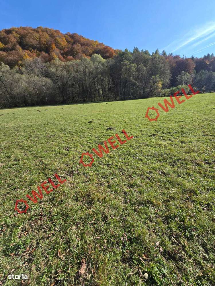 Casă cu istorie și natură de vânzare în Vama Buzăului, sat Acriș! - Imagine principală: 2/17