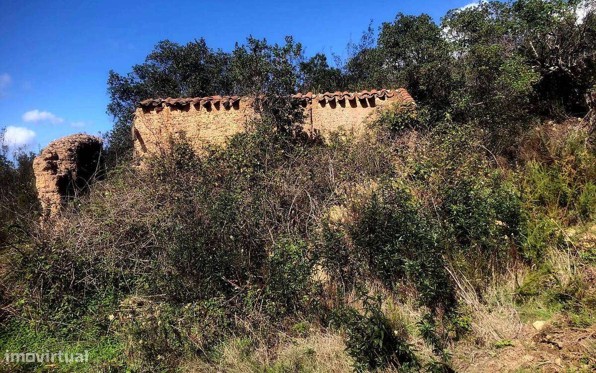 Terreno Rústico - Grande imagem: 5/7