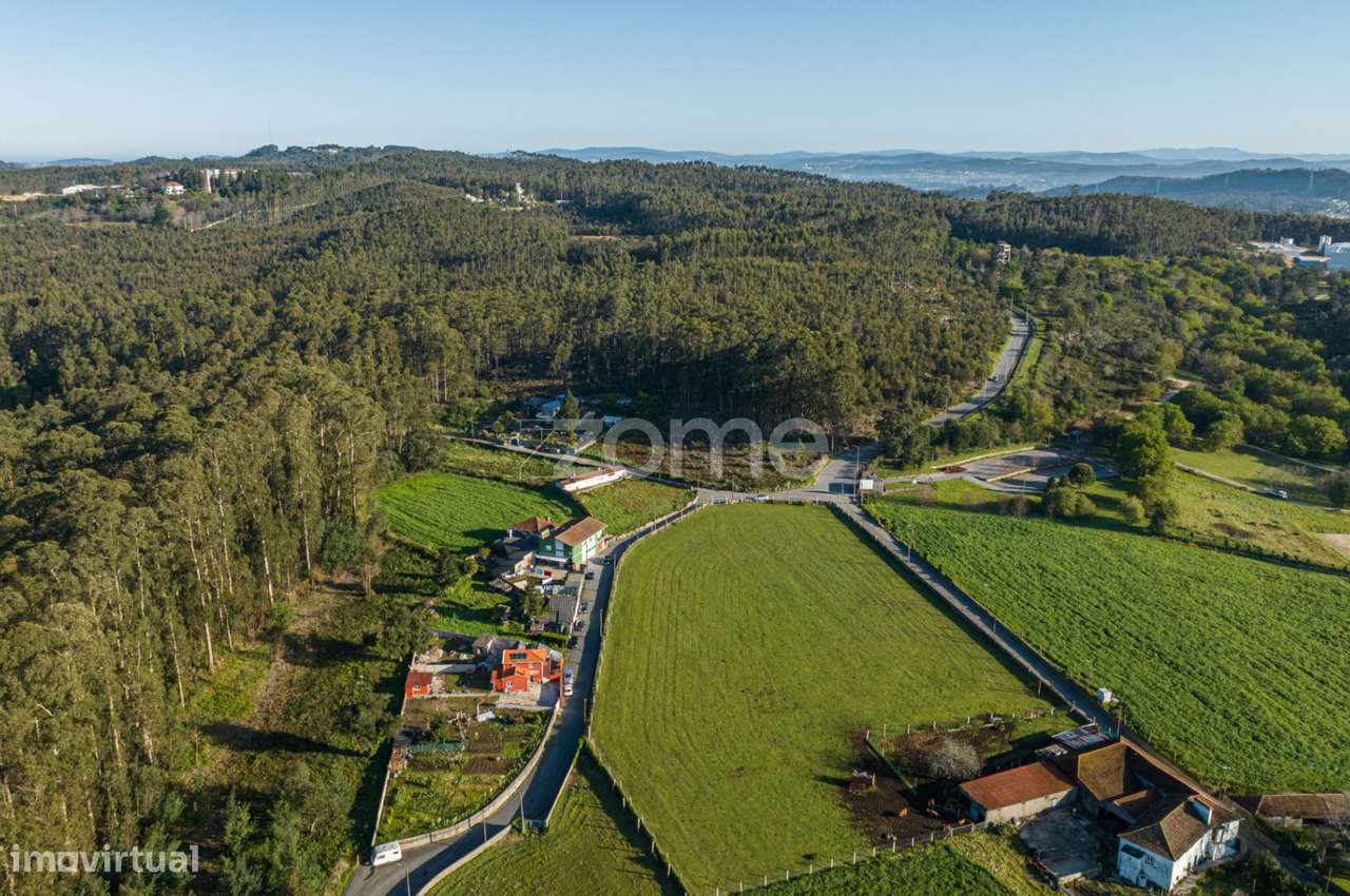 Terreno com 4200m2 em São Pedro de Avioso - Grande imagem: 3/16