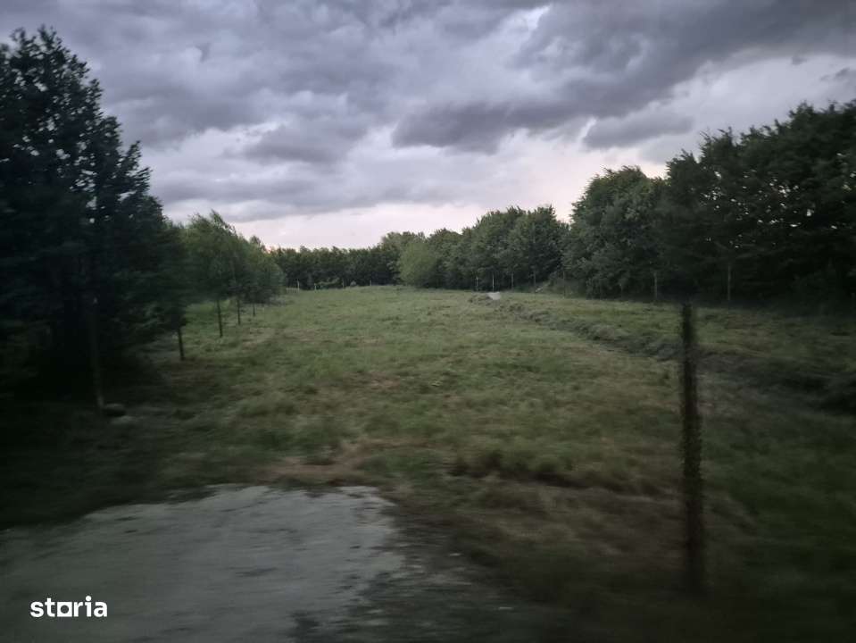 Teren intravilan | 2000 mp | de vanzare- Valea Avrigului - Imagine principală: 1/6