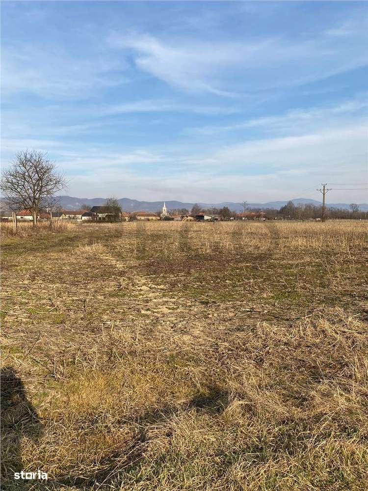 RECO  Teren in  Topa de  Cris  7560mp aproape de E60 - Imagine principală: 1/2