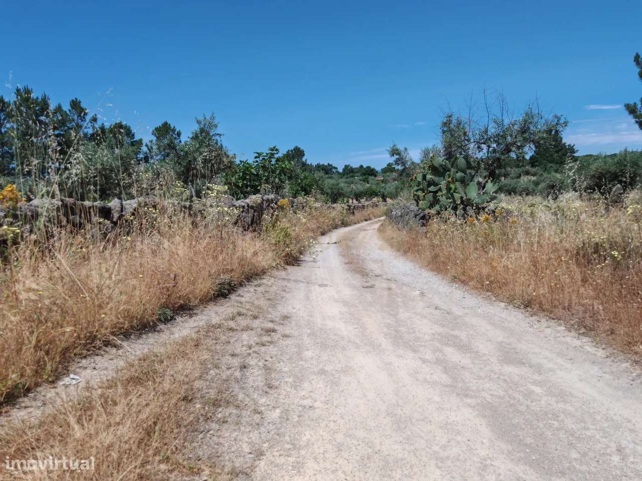 Quintinha na Lousa, Castelo Branco - Grande imagem: 3/19