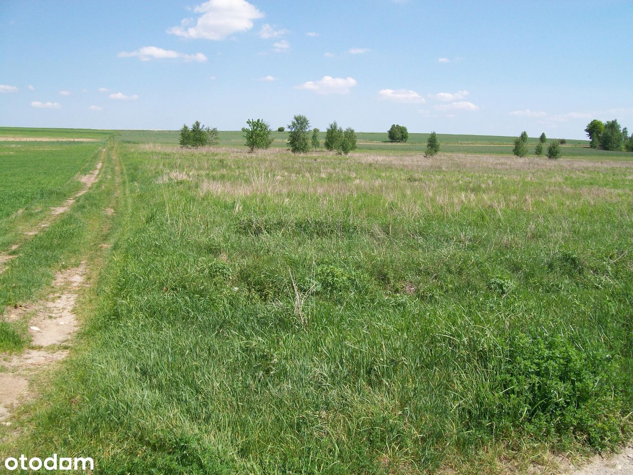 Działka, 90 000 m², Wręczyca