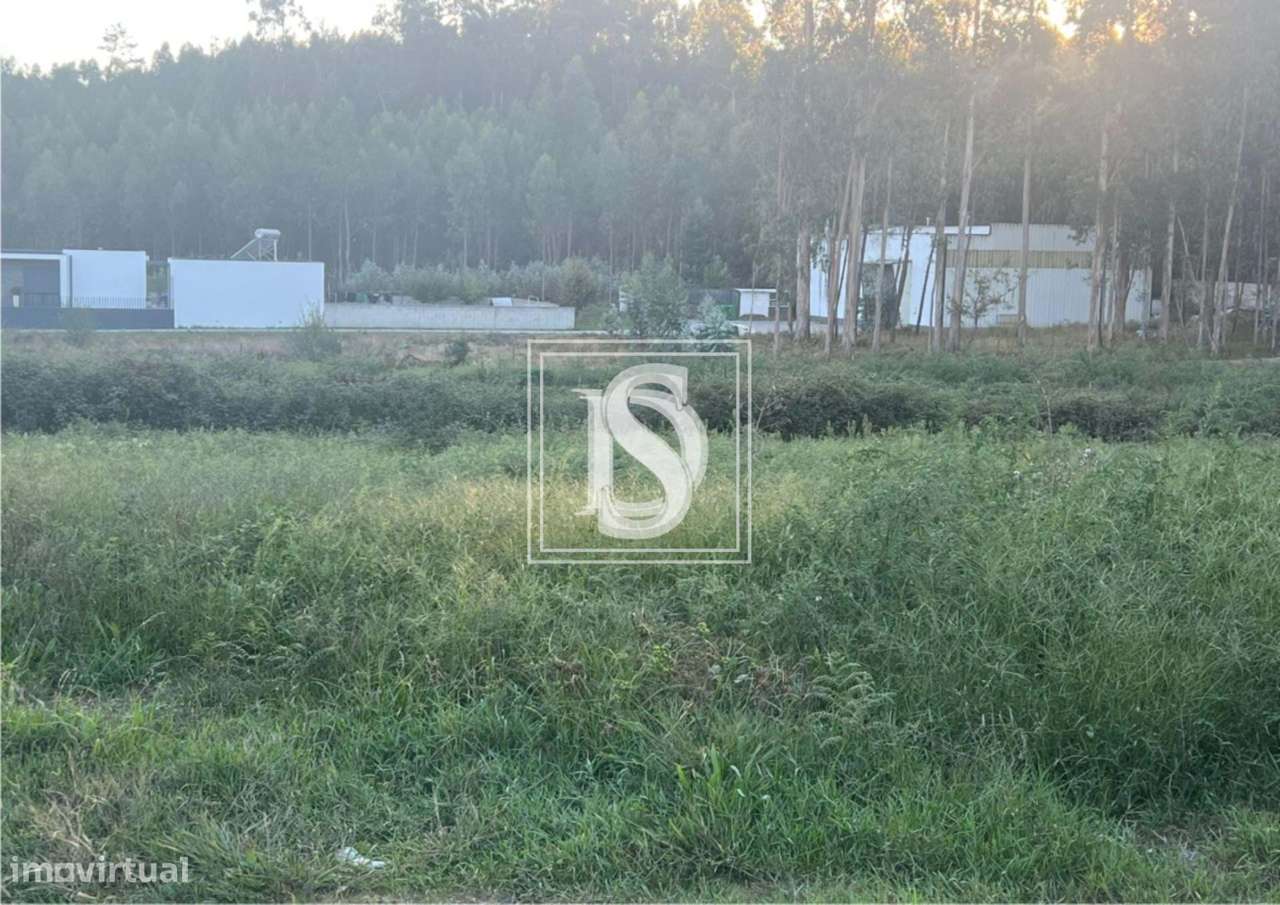 Terreno em Eiriz - Grande imagem: 2/7
