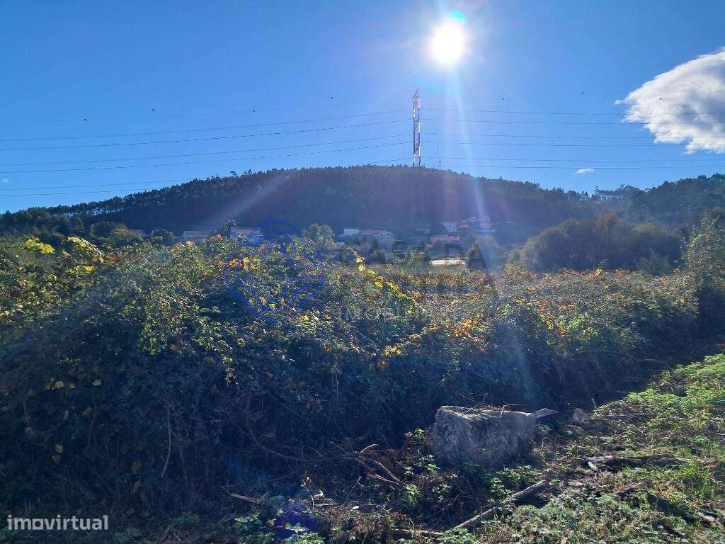 Terreno rústico com 2200m2, não urbanizável - Grande imagem: 4/10