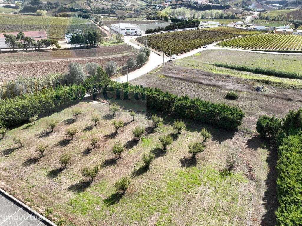 Terreno urbano no Turcifal Torres Vedras! - Grande imagem: 2/7