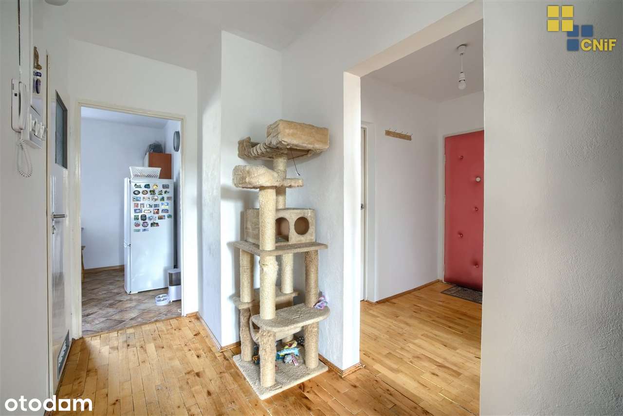 M-4 na Kukuczki, 2 piętro w bloku - Pełny obrazek: 4/10