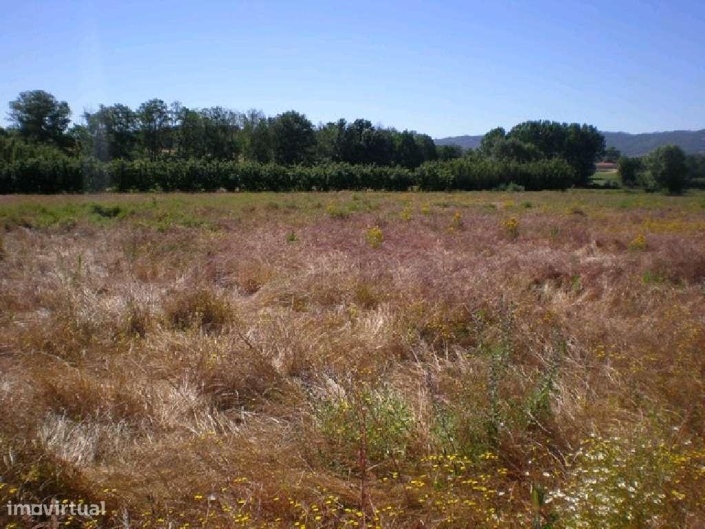 Quinta  Venda em Covilhã e Canhoso,Covilhã - Grande imagem: 3/3