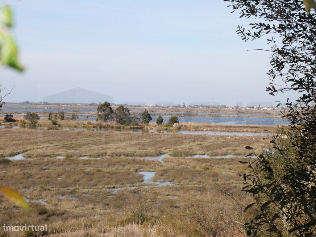 Terreno para construção de moradia com vistas Ria - Passa...