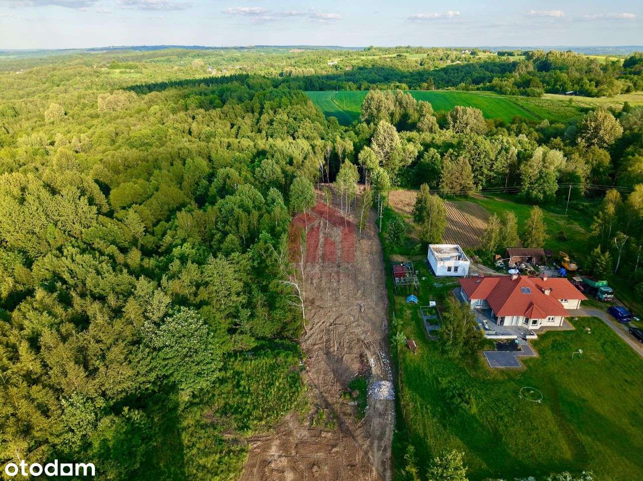 Magdalenka! Działka 20 ar, w lesie, ze strumykiem - Pełny obrazek: 4/15