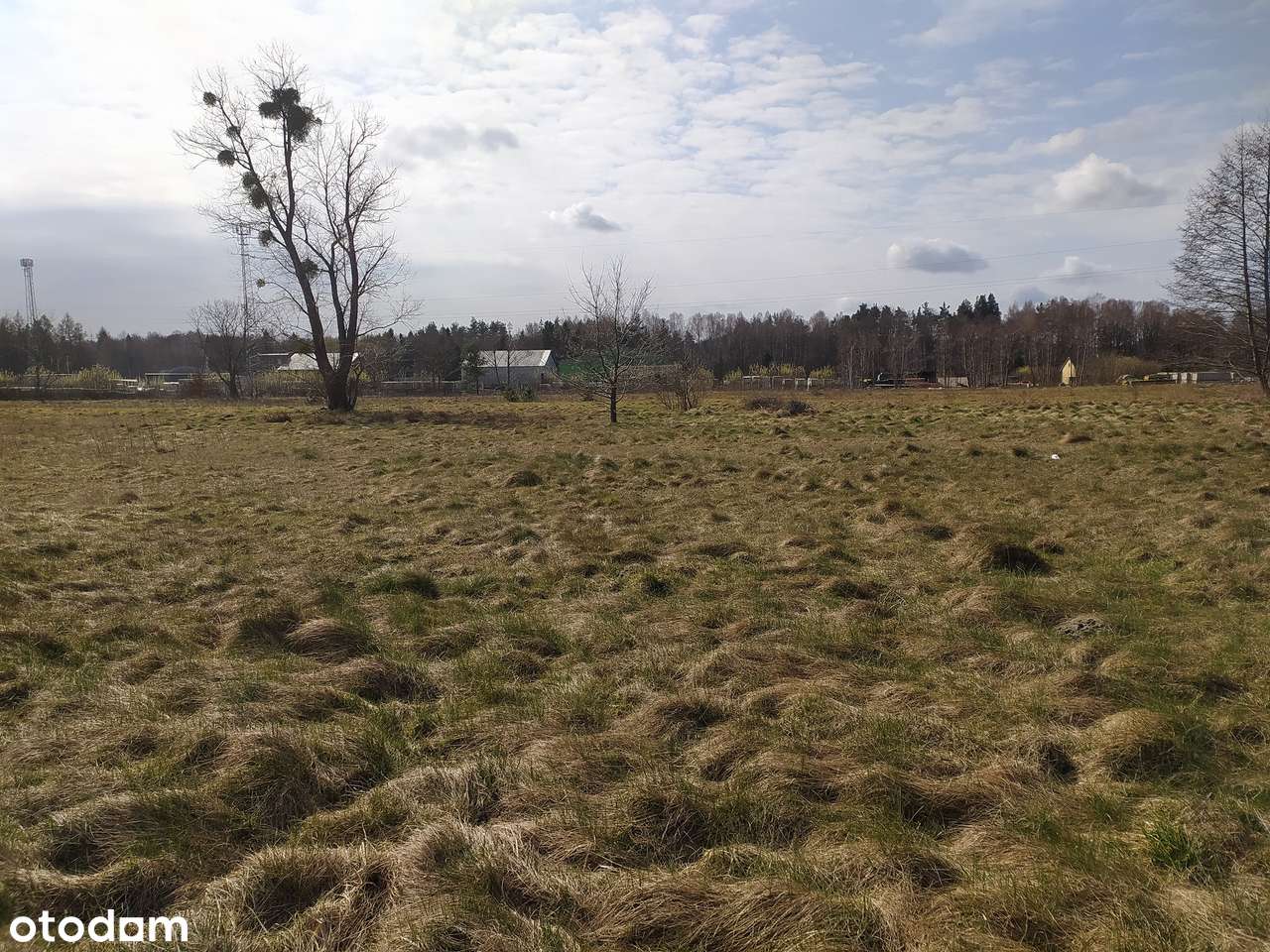 Twój własny kawałek ziemi-2