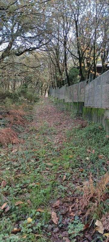 Terreno  para venda - Grande imagem: 4/7