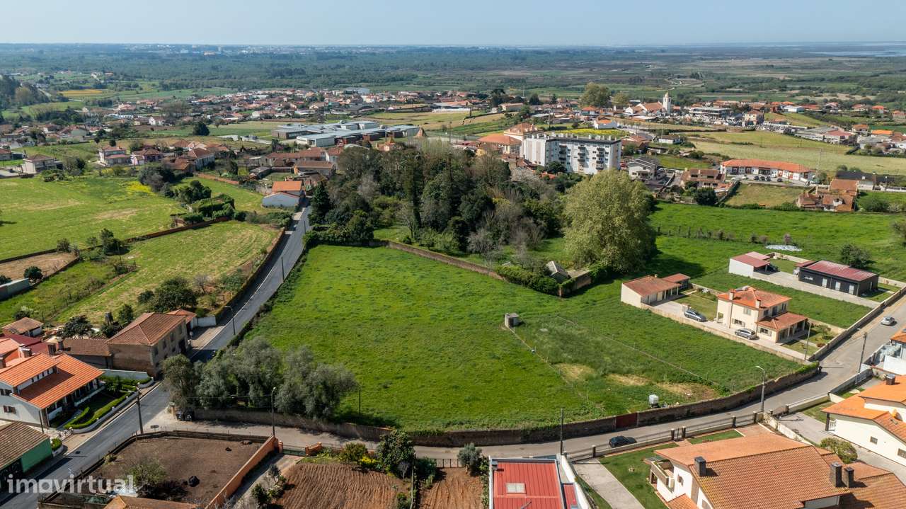 Terreno para construção em Salreu - Estarreja-7