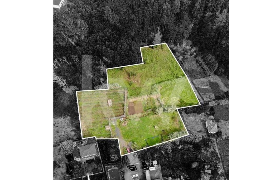 TERRENO PARA CONSTRUÇÃO E ECO-TURISMO | SANTA - PORTO MONIZ - ILHA DA - Grande imagem: 1/11