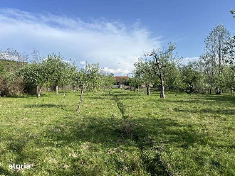 case la tara + teren de 13.000 mp - Imagine principală: 4/7