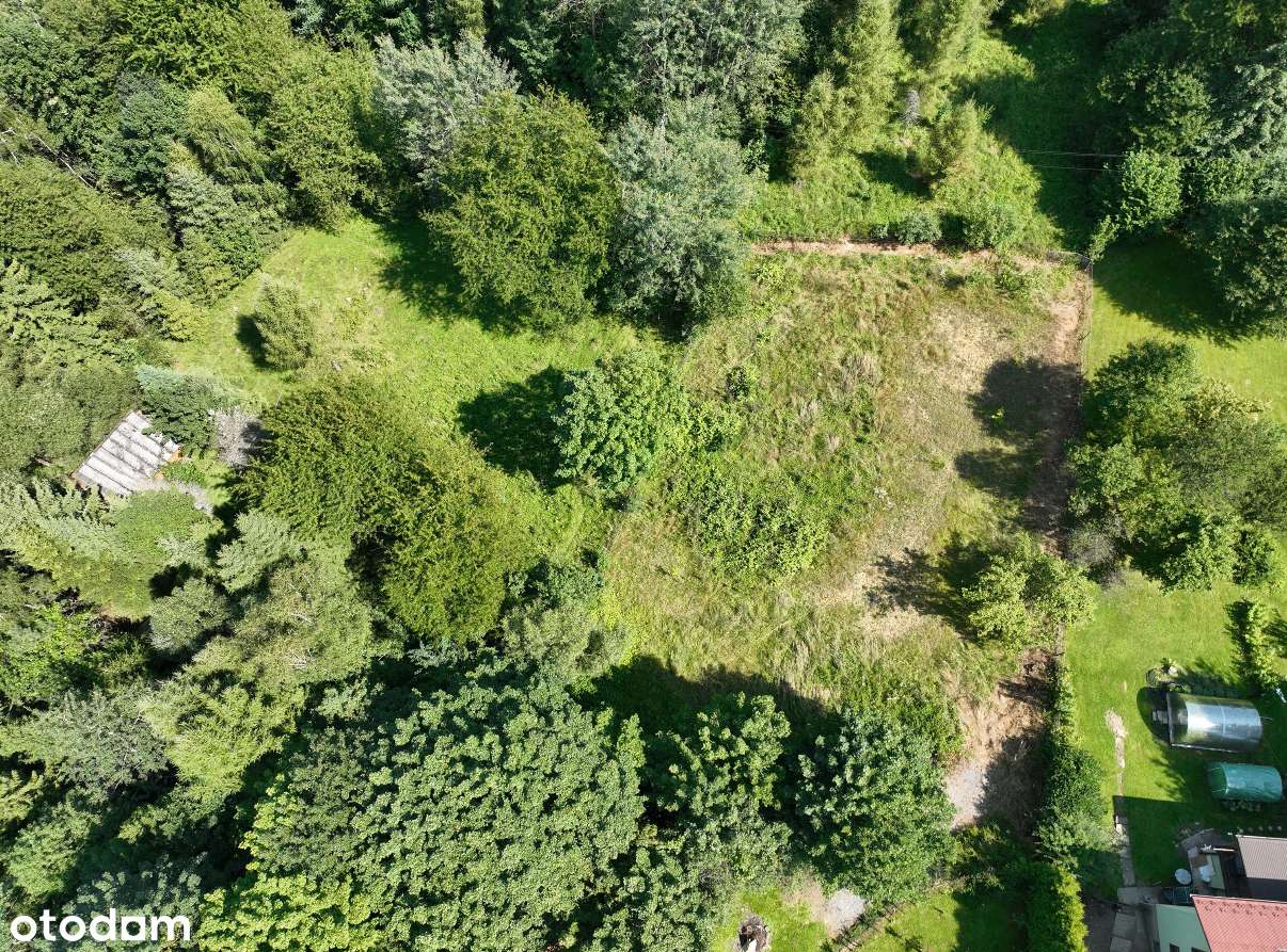 Na sprzedaż działka 66,68 a z zabudowaniami – Świnna, ul. Komarnik-3