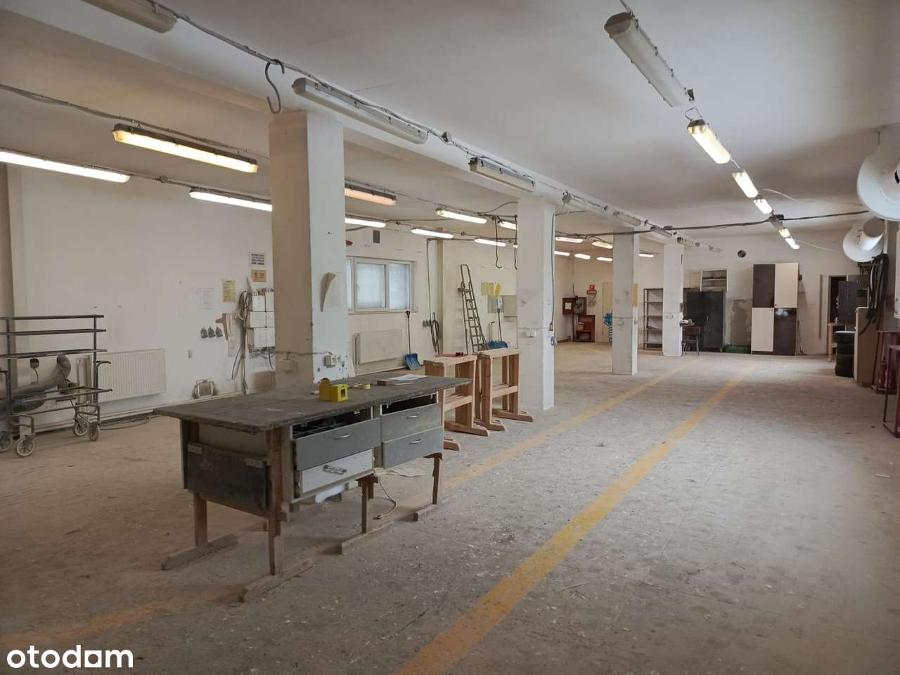 Hala produkcyjna - Pełny obrazek: 4/13