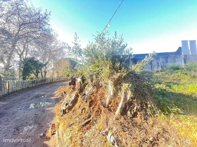 Terreno  Venda em Canelas,Vila Nova de Gaia-10