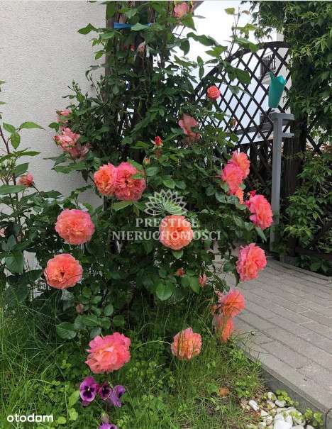 Wygodne mieszkanie z ogródkiem-19