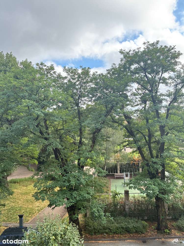 słoneczne duże mieszkanie z 2 balkonami - Pełny obrazek: 4/20