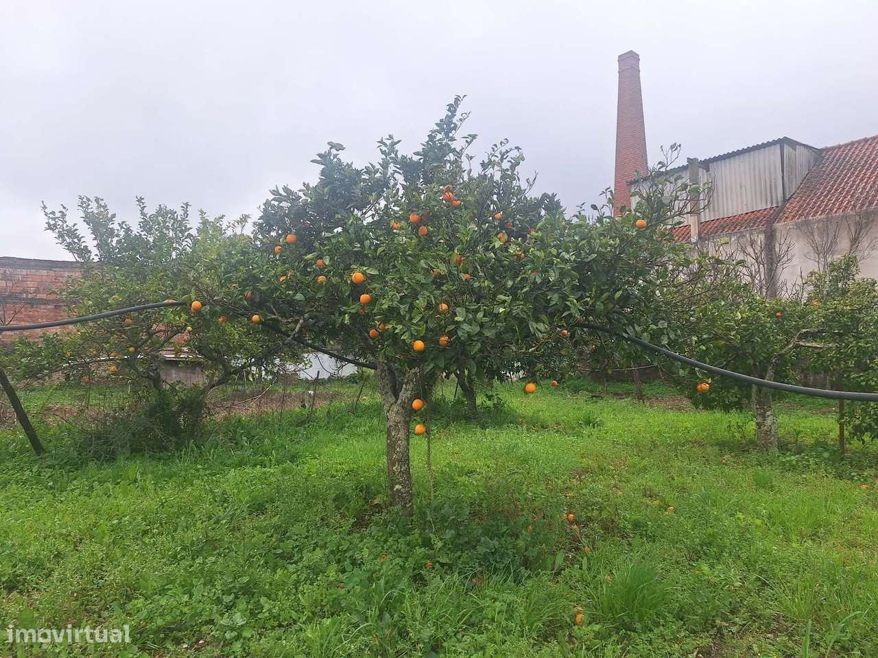 Edificio urbano - Antiga fábrica de cortiça em São Brás de Alportel-8