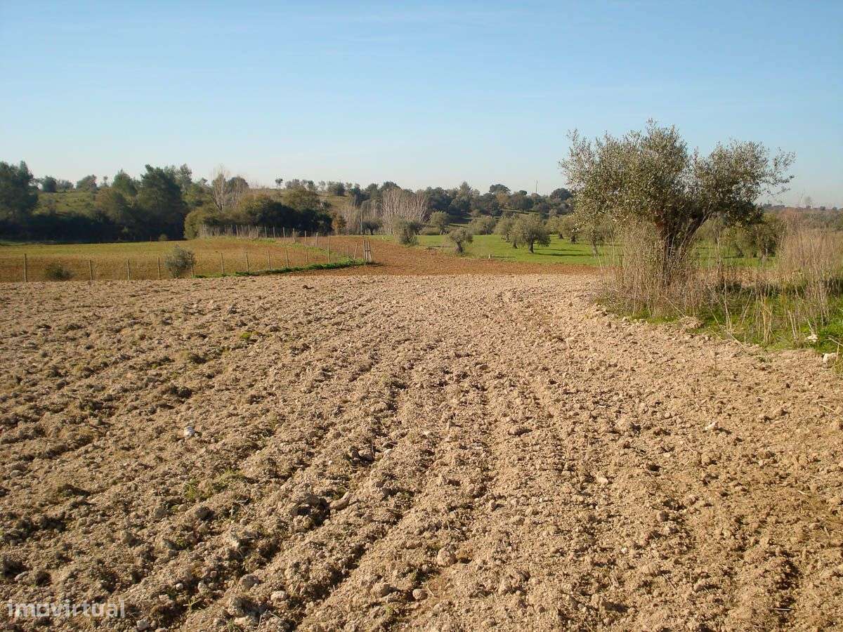 Terreno com 11920 m2 - Grande imagem: 4/18