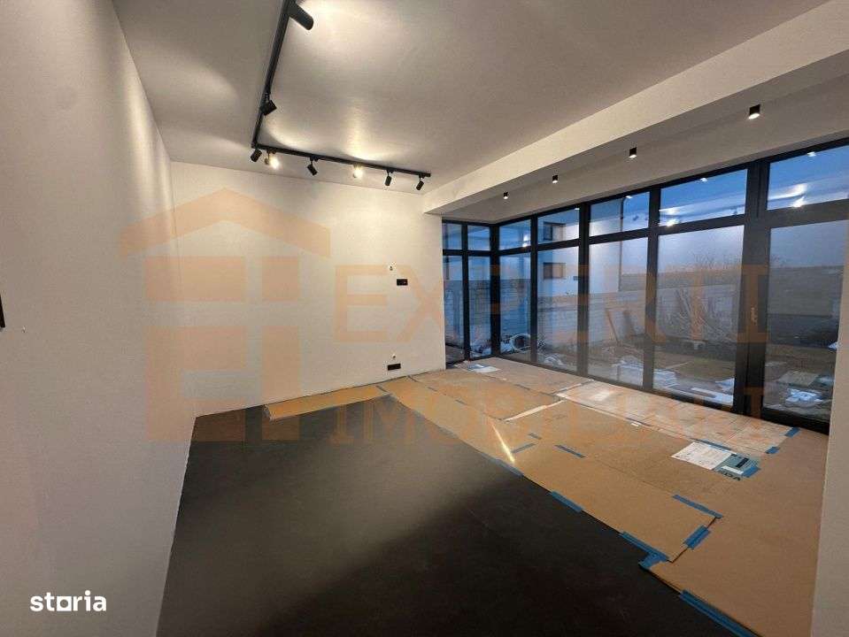 Oportunitate imobiliara! Casa de vanzare in zona  Palazu Mare-Constant-14